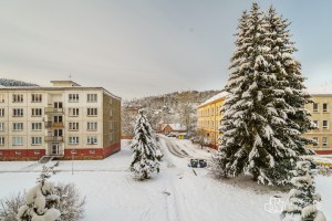 1922_7945091372.jpg