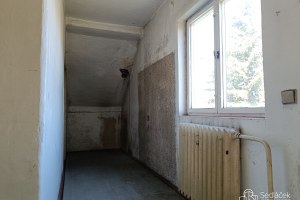 2324_1193066516.jpg