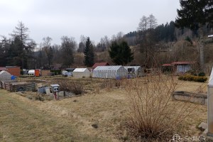 23479_1748433477.jpg