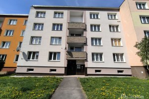 239211_1750256349.jpg