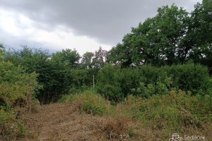 2425_8321471170.jpg