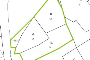 2425_8329687785.jpg