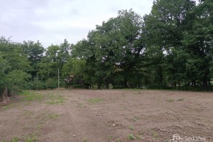 2425_9076400795.jpg