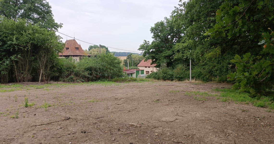 2425_9076547830.jpg