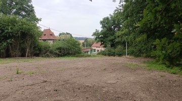 2425_9076547830.jpg
