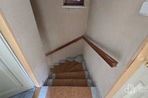 2434_4251459543.jpg