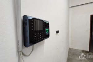 2438_6859941846.jpg