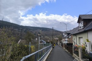 2649_6665424670.jpg