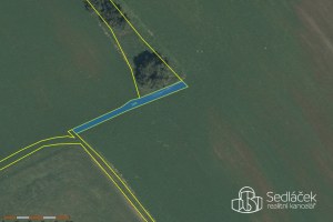 2695_1634045405.jpg